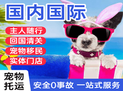 德宏芒市空运公司国际宠物托运 【国